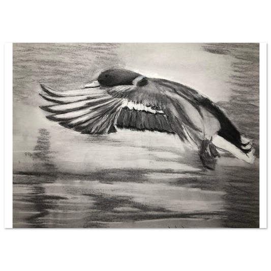 0fa5c467-1ab3-4857-a724-56022f84d5d9