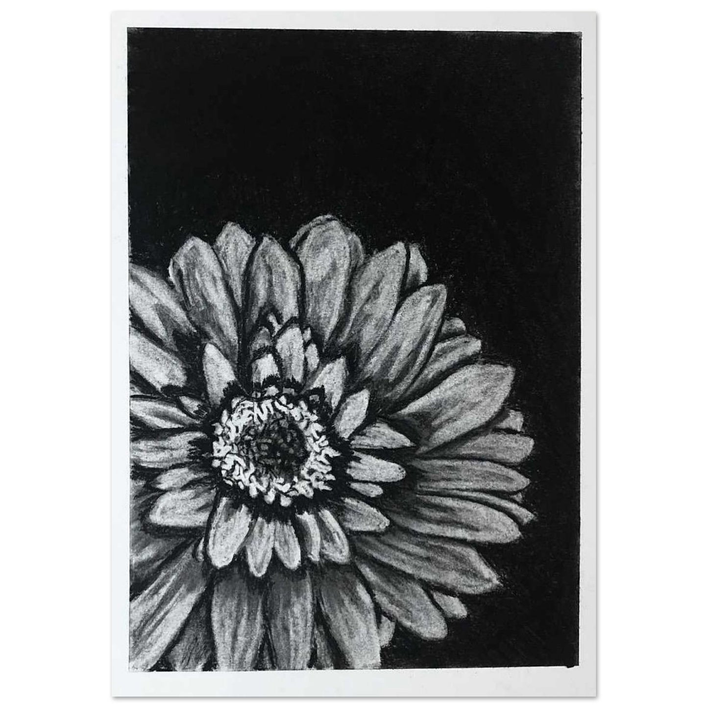 1ddaa2e4-f0df-49e5-b277-aa91f3bf3fcf