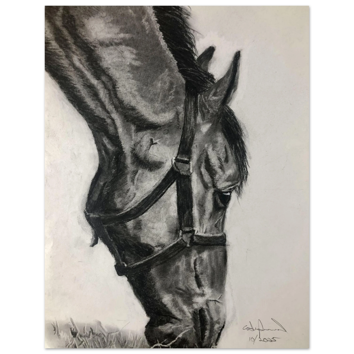 83f43c24-a5a7-4ba9-b995-ced340bc112c