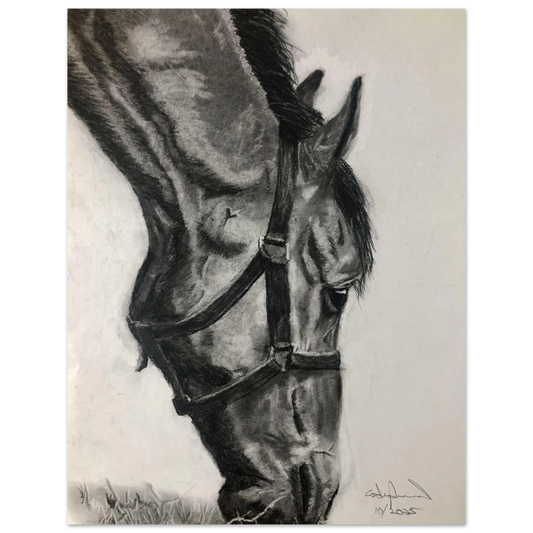 83f43c24-a5a7-4ba9-b995-ced340bc112c