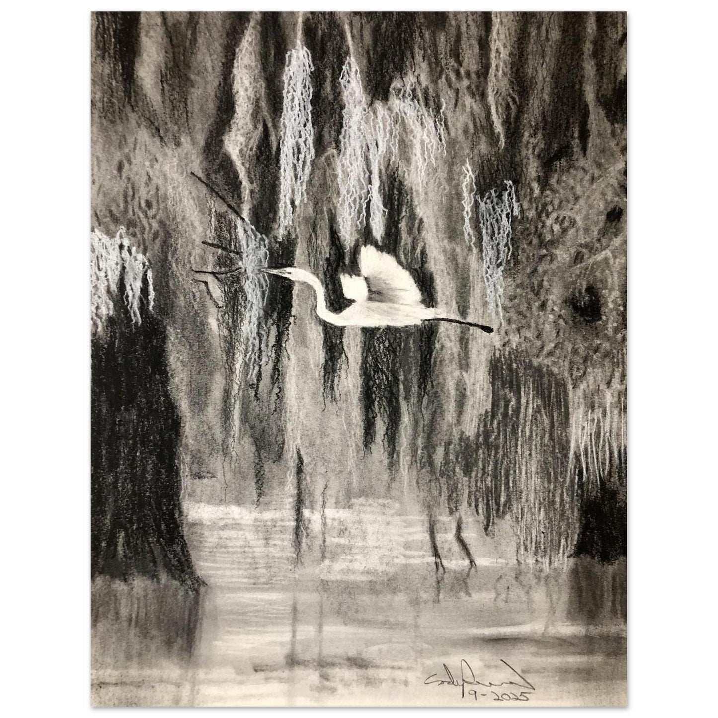 b17ff31d-fc3d-4023-a6cd-c47f38575f2c