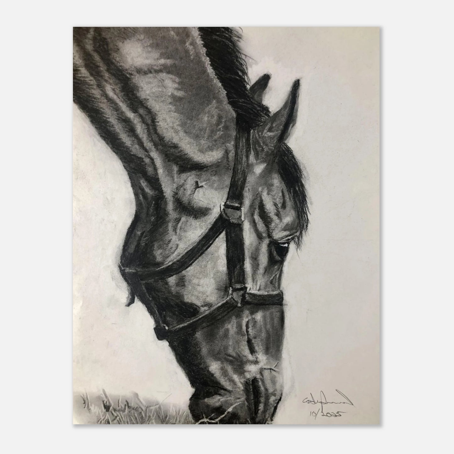 b2afdad3-43bb-4515-99cd-e82fb137c38b