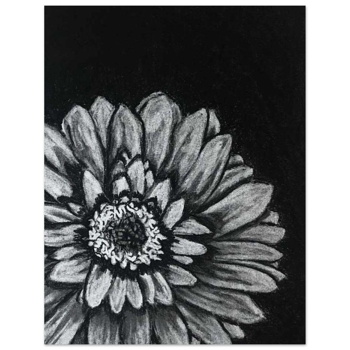 c2ace23f-bfe4-48e3-bbbd-52f215dbb36e