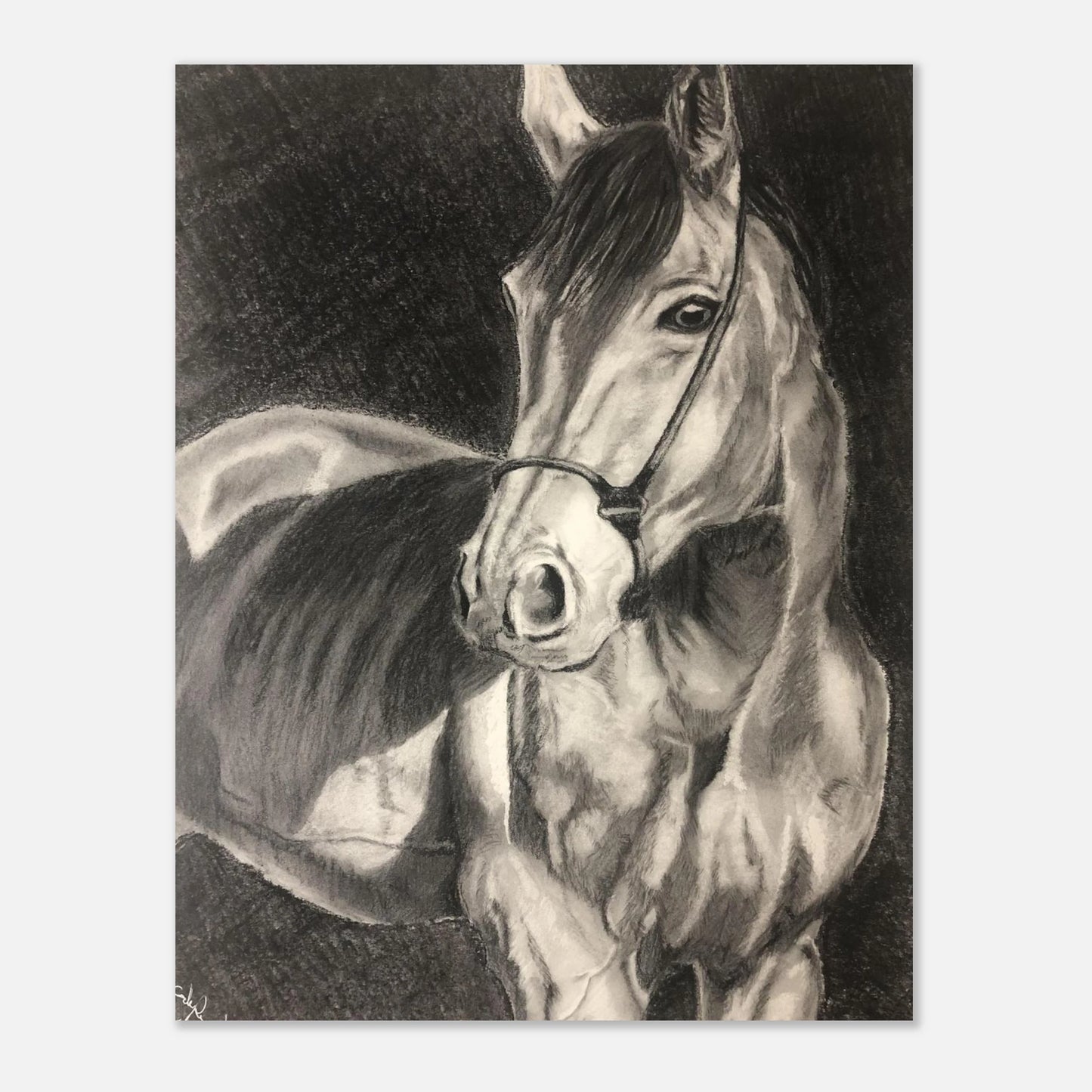 d1d63c1c-655a-4183-9692-a9bc6ef57c51