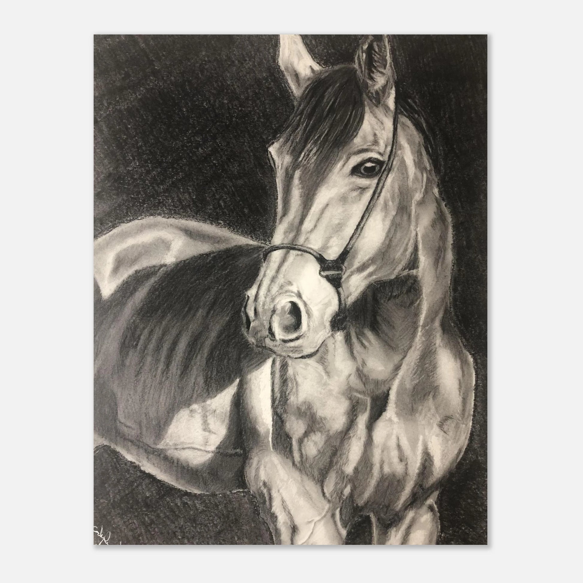 d1d63c1c-655a-4183-9692-a9bc6ef57c51