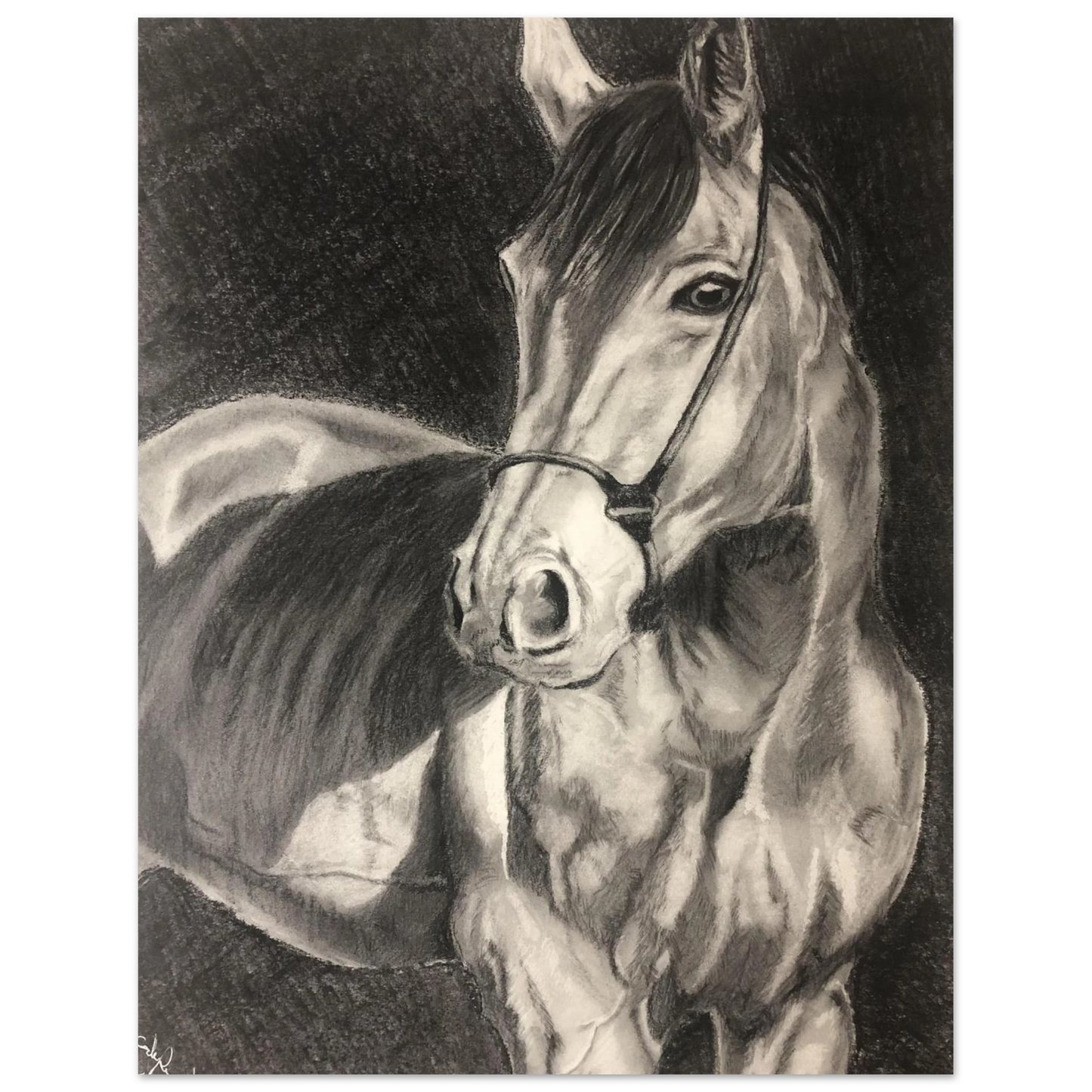 e41f88ea-93a6-49eb-a5b2-0b316702dd1b