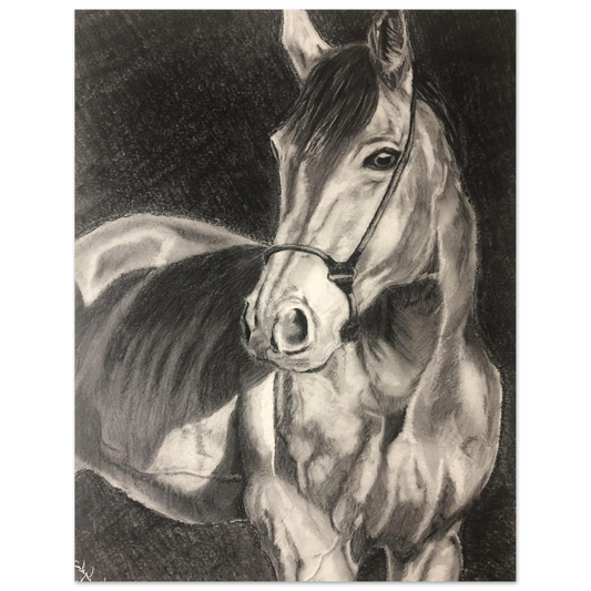 e41f88ea-93a6-49eb-a5b2-0b316702dd1b