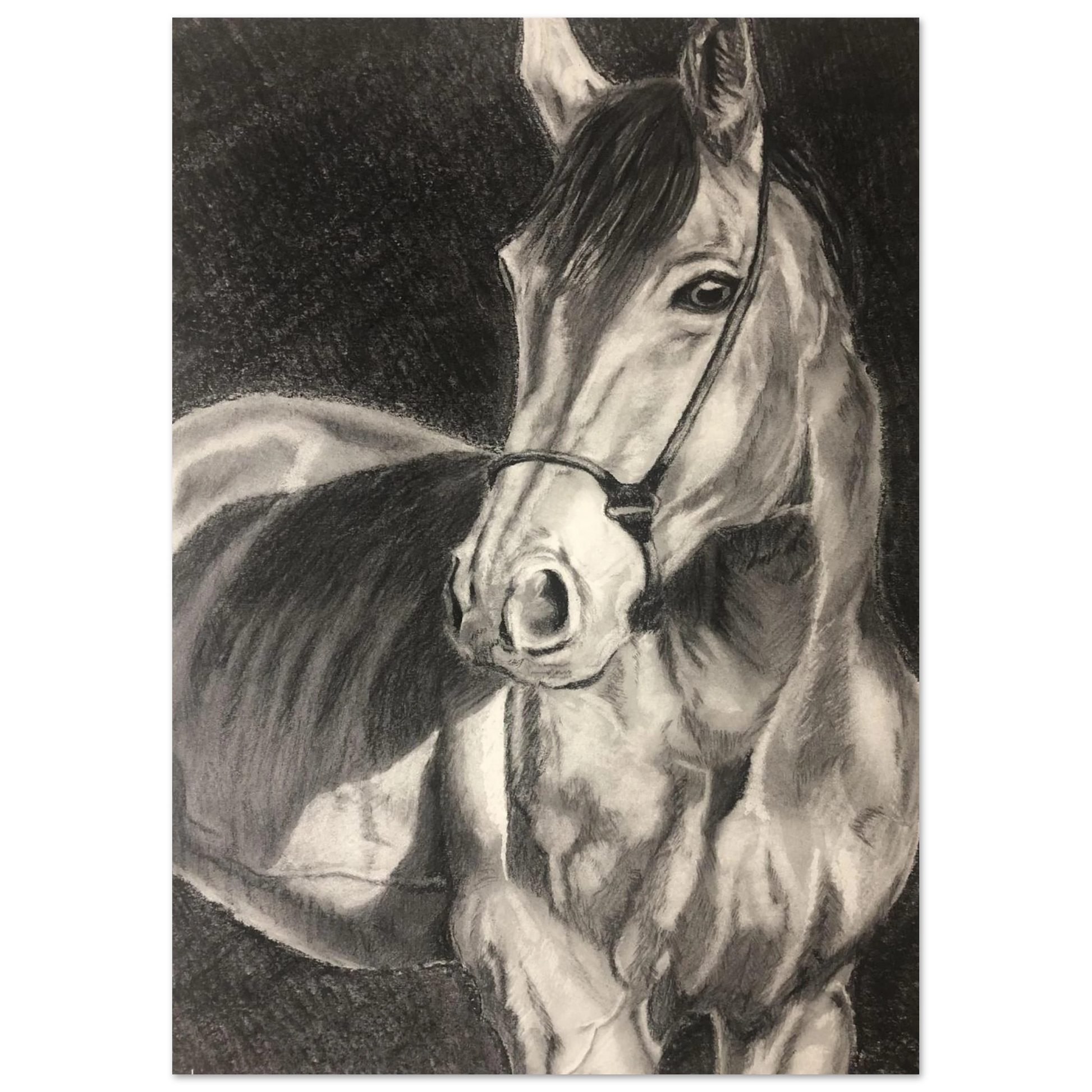 f810ce3a-0bfd-4b7e-a5d5-8124e50b3915